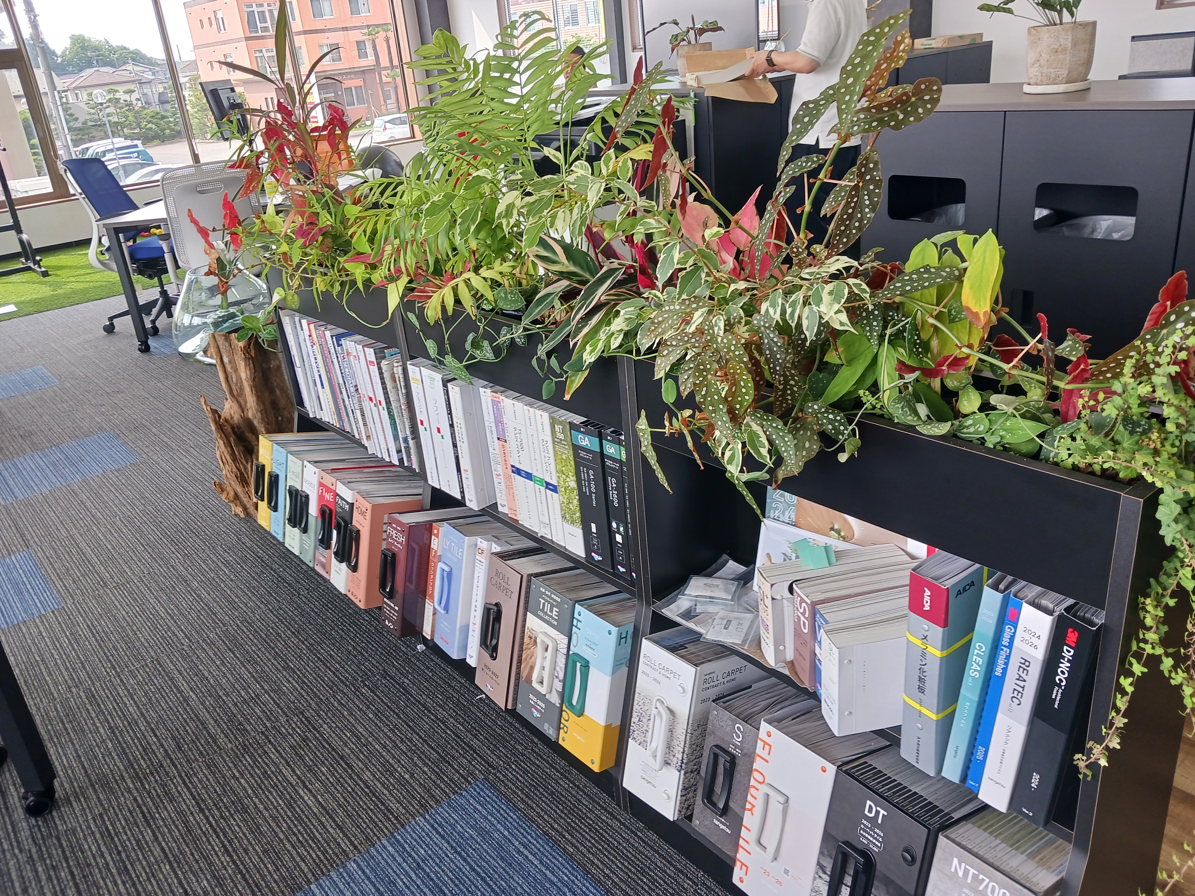 ファニー、グリーン写真2